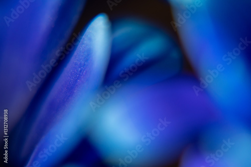 Macro Flower Blossom Background blue purple