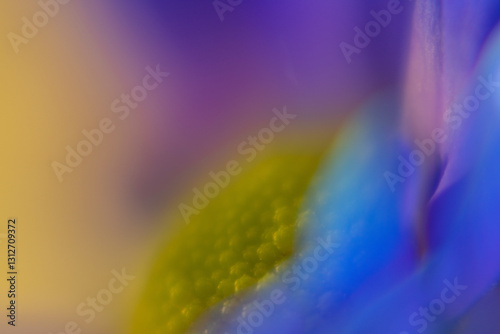 Macro Flower Blossom Background blue purple