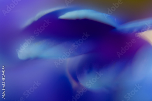 Macro Flower Blossom Background blue purple