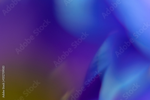 Macro Flower Blossom Background blue purple
