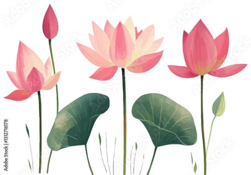 Botanical Digital Illustration of Pink Lotus Flowers and Green Leaves