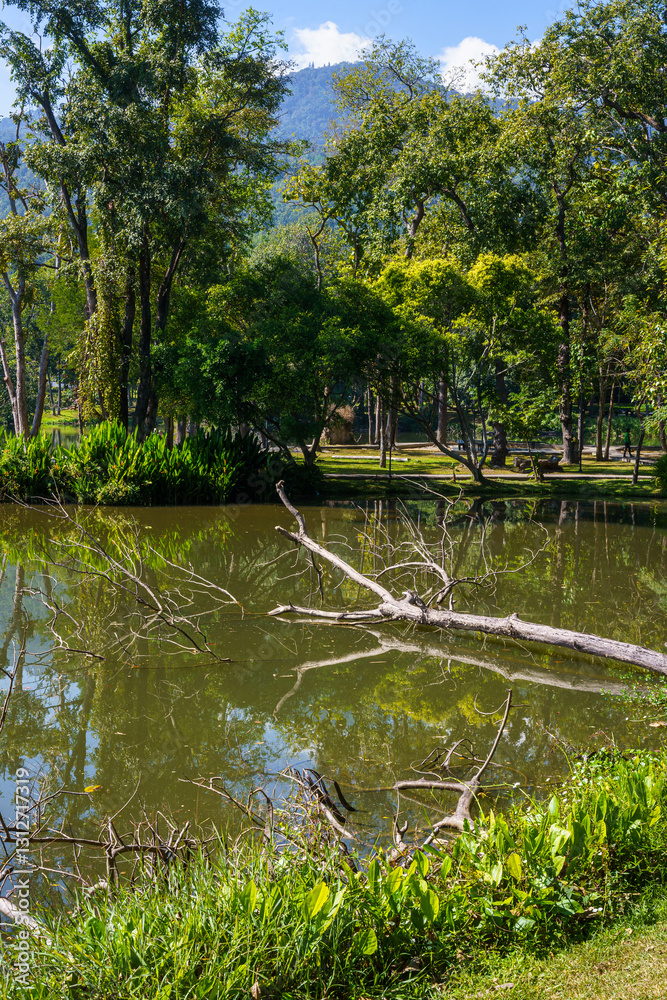 a public place leisure travel landscape lake views at Ang Kaew Chiang Mai University and Doi Suthep nature forest Mountain views spring cloudy sky background with white cloud.