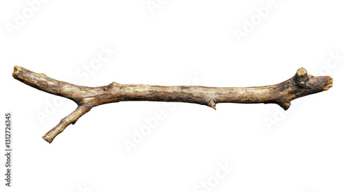 Dry branch with transparent background, perfect for compositions
