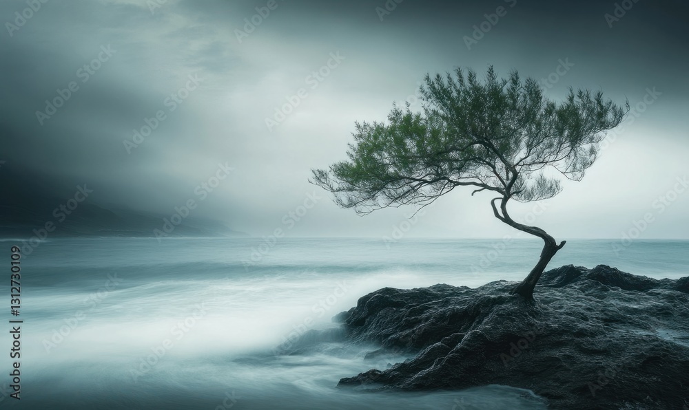 Solitary Tree by the Sea Solitary Tree by the Sea