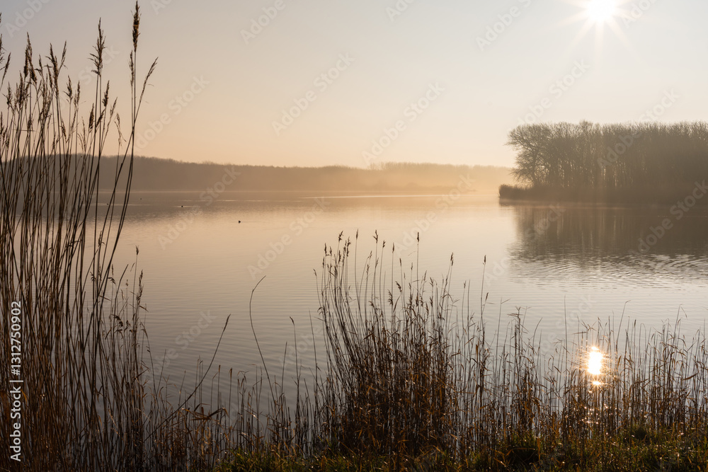 Romantic, foggy morning mood over the lake of Westkapelle, Netherlands Romantic, foggy morning mood over the lake of Westkapelle, Netherlands