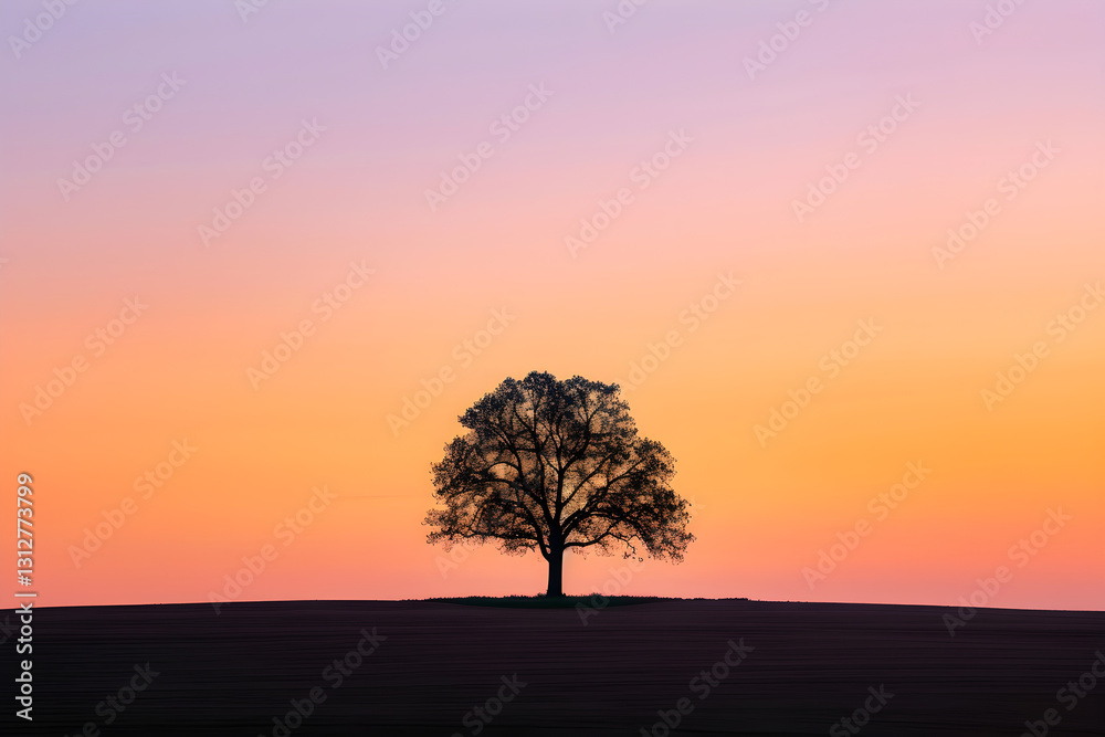 Solitary Tree at Sunset: Golden Silence and Timeless Elegance in Nature’s Embrace Solitary Tree at Sunset: Golden Silence and Timeless Elegance in Nature’s Embrace