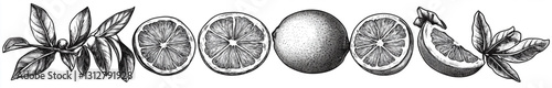 Artistic Orange Drawing in Black Ink on White Canvas

