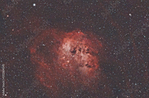 Tadpole Nebula, IC 410, a star-forming region in the constellation Auriga that looks like tadpoles swimming through the cosmos