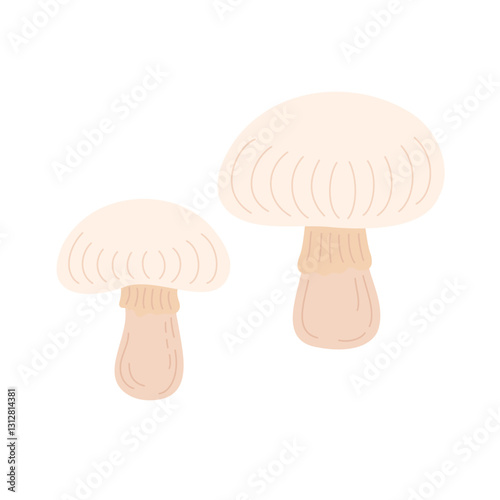 Button mushroom hand drawn vector illustration, edible fungi image for cooking delicious dishes, champignon raw food ingredient, organic diet and healthy life concept, good eating habits promotion