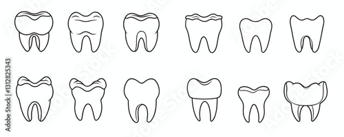 Flat linear tooth icons set featuring different dental structures.