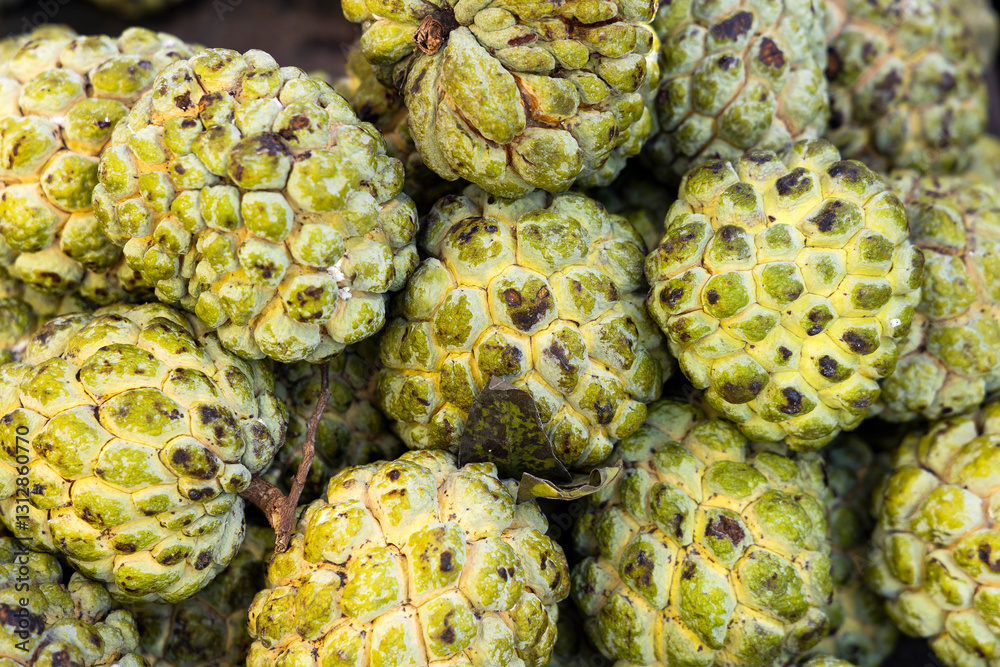 Annon fruit grown in the tropics of the Americas - Annona squamosa. Annon fruit grown in the tropics of the Americas - Annona squamosa.