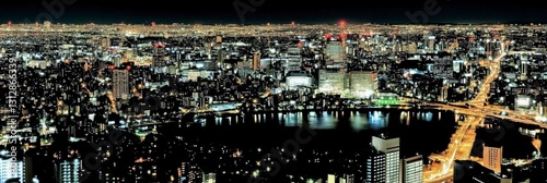 Skyline dazzled by artificial brilliance at night.