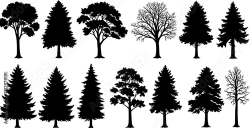 various deciduous trees silhouettes on the white background. vector set. PNG white background
