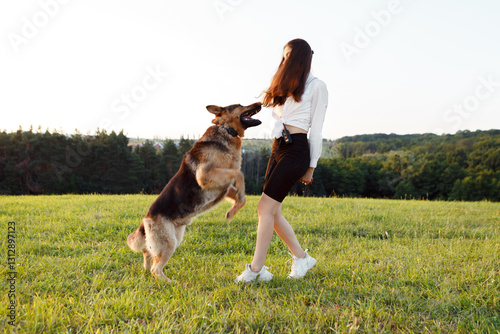 Playful german shepherd dog jumping up to greet a female owner in a sunny green field, sharing joyful moments and enjoying a fun outdoor activity together in nature