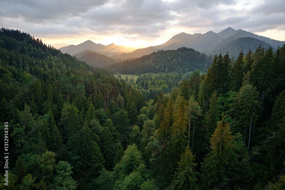 Fototapeta premium A mountain road is visible from an aerial top view surrounded by dark green forest