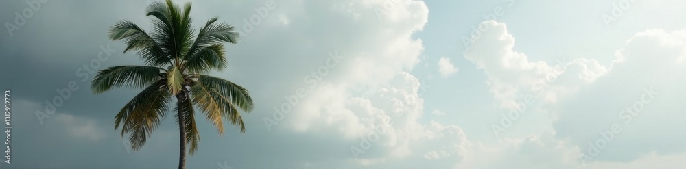 Obraz premium Tall palm tree against a cloudy gray backdrop , photo, environment