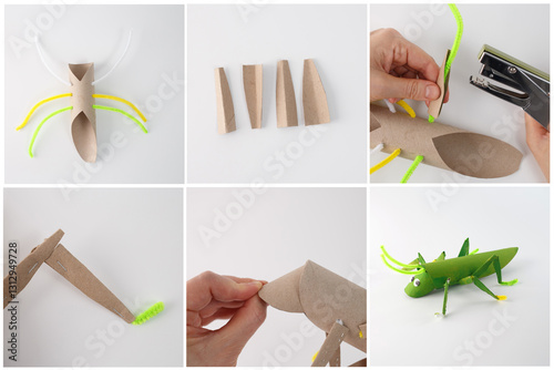 Step-by-step guide for creating a grasshopper craft using a cardboard tube, pipe cleaners, Six-step process showing assembly, attachment, and painting. DIY educational insect project for kids