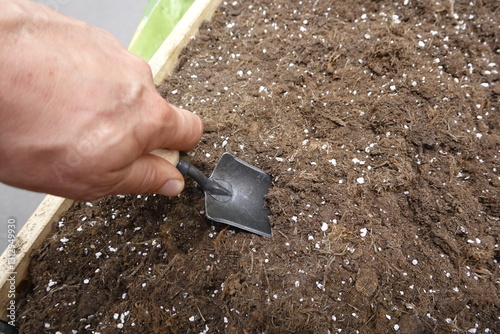 Foto Gardener holding small shovel and preparing potting mix for sowing seeds