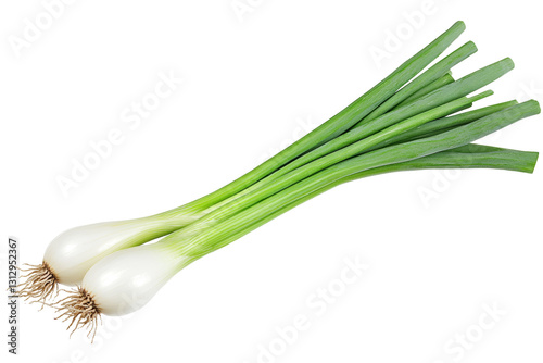 Two green onions are on a white background, isolated