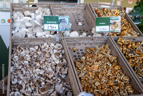 Fresh ripe organic seta shitake mushrooms on farmers market on Tenerife, Canary islands, Spain, fresh local farmers products