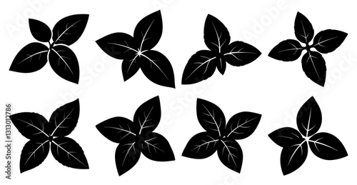 Collection of Eight Black Silhouettes of Basil Leaves in Different Arrangements and Angles