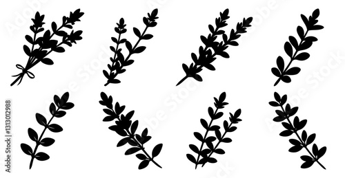 Collection of Eight Silhouettes of Thyme Sprigs Botanical Illustration