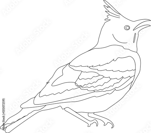 Crested Lark Vector Illustration – Detailed Songbird in Natural Habitat