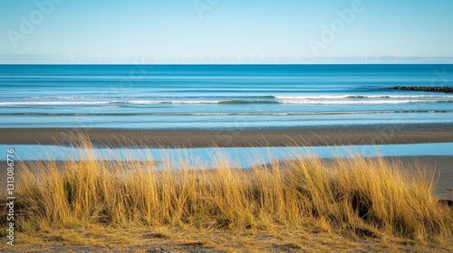Grass blowing in the wind on beach overlooking the ocean