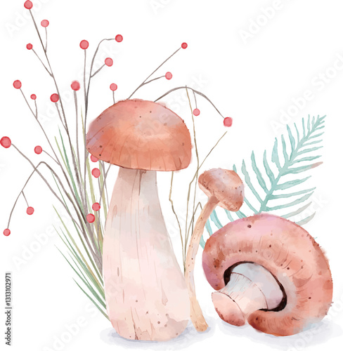 mushrooms on a white background