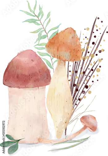 boletus edulis mushroom in the grass