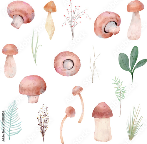 mushrooms on a white background