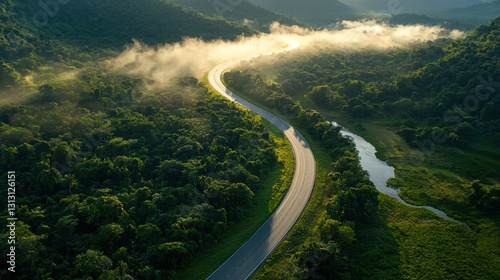Aerial View of Winding Road Through Dense Green Landscape at Dawn photo