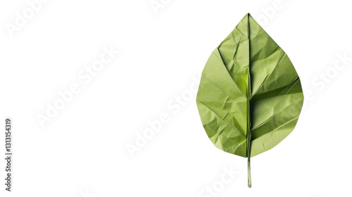 Crumpled paper folded into a green leaf shape on transparent background photo