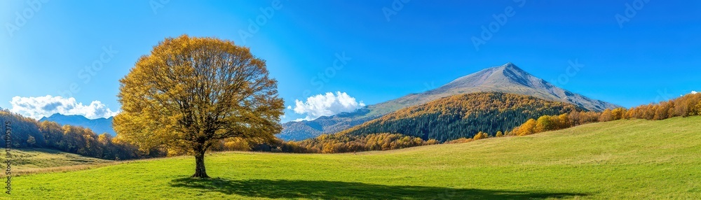 Majestic lone tree standing tall in a wide open field under clear blue sky with green grass and wide horizon Majestic lone tree standing tall in a wide open field under clear blue sky with green grass and wide horizon