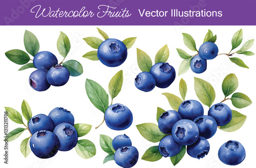 Watercolor Blueberries Fruits Vector Collection | Generative AI