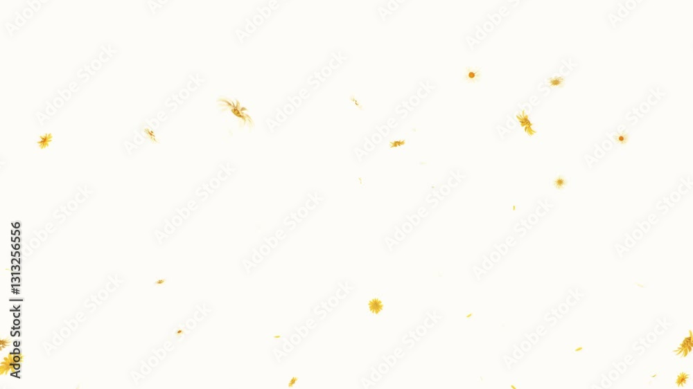 A soft and vibrant daisy flower burst animation on a pastel background, creating a warm and dreamy floral atmosphere. A soft and vibrant daisy flower burst animation on a pastel background, creating a warm and dreamy floral atmosphere.