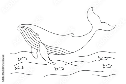 Humpback Whale Ocean Coloring Page Marine Life, Wildlife, Aquatic