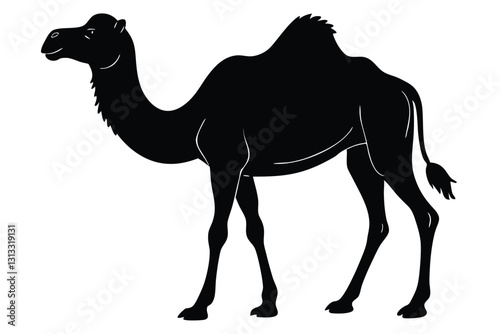 Detailed black silhouette of camel caravan on white background