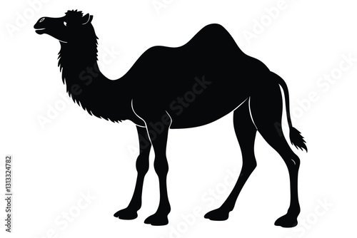 A camel is standing in a field with the words camels and the word camel