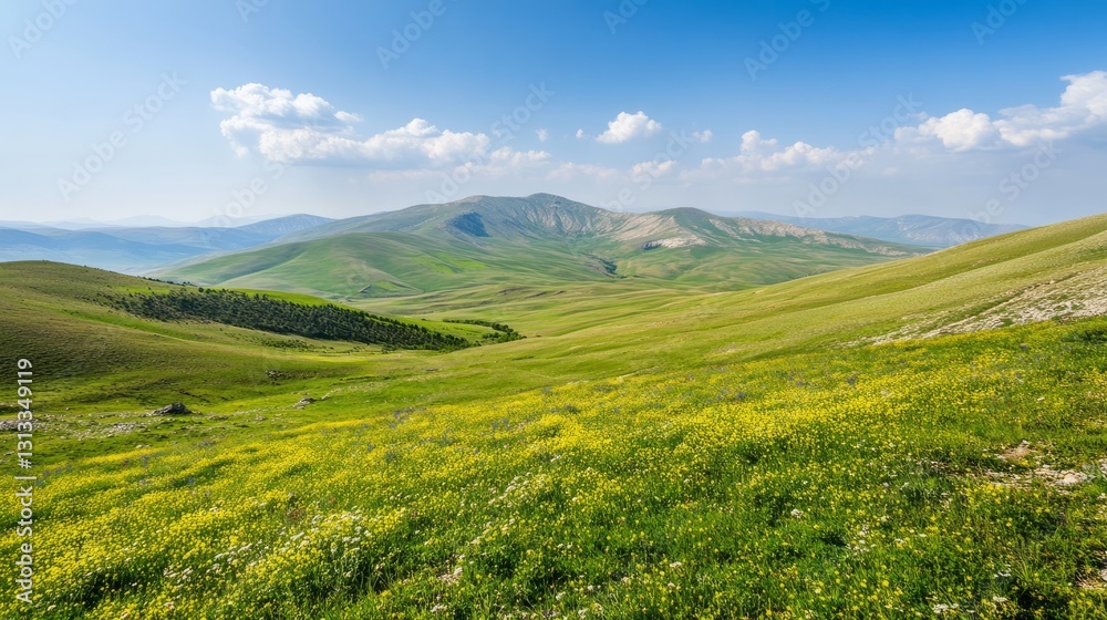 Under the blue sky of spring, a vast meadow is spread out, green and full of vitality, making people feel the warmth and hope of spring. Under the blue sky of spring, a vast meadow is spread out, green and full of vitality, making people feel the warmth and hope of spring.