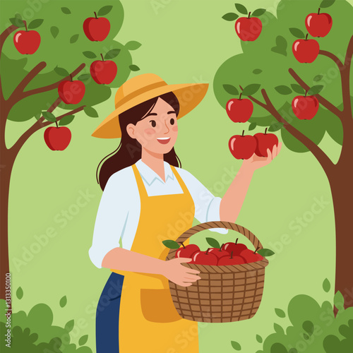 Woman Picking Ripe Red Apples From Tree Into Woven Basket