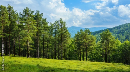Magnificent scenery can be seen, as if you are in the embrace of nature, continuous mountains, vast grasslands or lakes, natural beauty and tranquility, let people feel the magnificence and harmony of