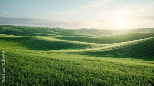Serene green landscape with empty space for product showcase, bright natural lighting and soft textures