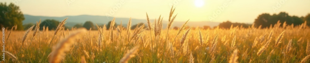 Wild prairie grasses swaying gently in breeze, green, rural, photography Wild prairie grasses swaying gently in breeze, green, rural, photography