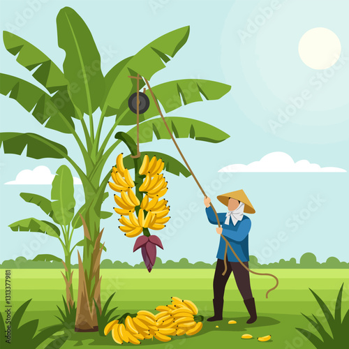 Harvesting Bananas Farmer Using Traditional Method on a Sunny Day