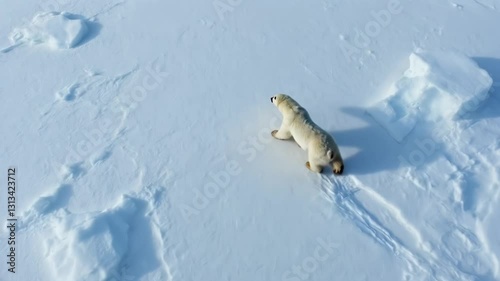 Graceful Hunter of the Arctic A Slow-Motion Dive as a Polar Bear Emerges from Icy Waters with Its Catch, Polar Bear Slow motion Stunning High-Resolution Nature animal video Footage
