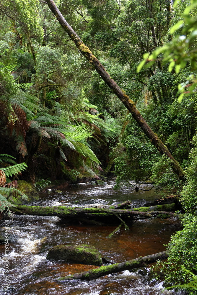 Fototapeta premium tasmanian landscape