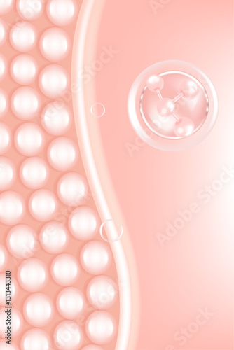 Hyaluronic acid and Niacinamide skin solutions ad. pink collagen serum drops into skin cells with cosmetic advertising background ready to use, illustration vector.	