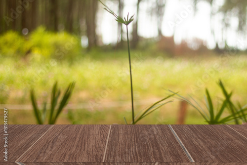 Wooden tabletop isolated background blurred nature, young trees and environment