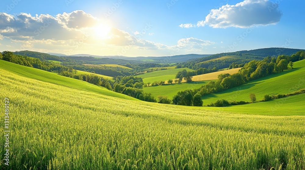 Scenic agricultural landscape with lush green fields and rolling hills under a bright sunny day perfect for backgrounds and nature themes Scenic agricultural landscape with lush green fields and rolling hills under a bright sunny day perfect for backgrounds and nature themes
